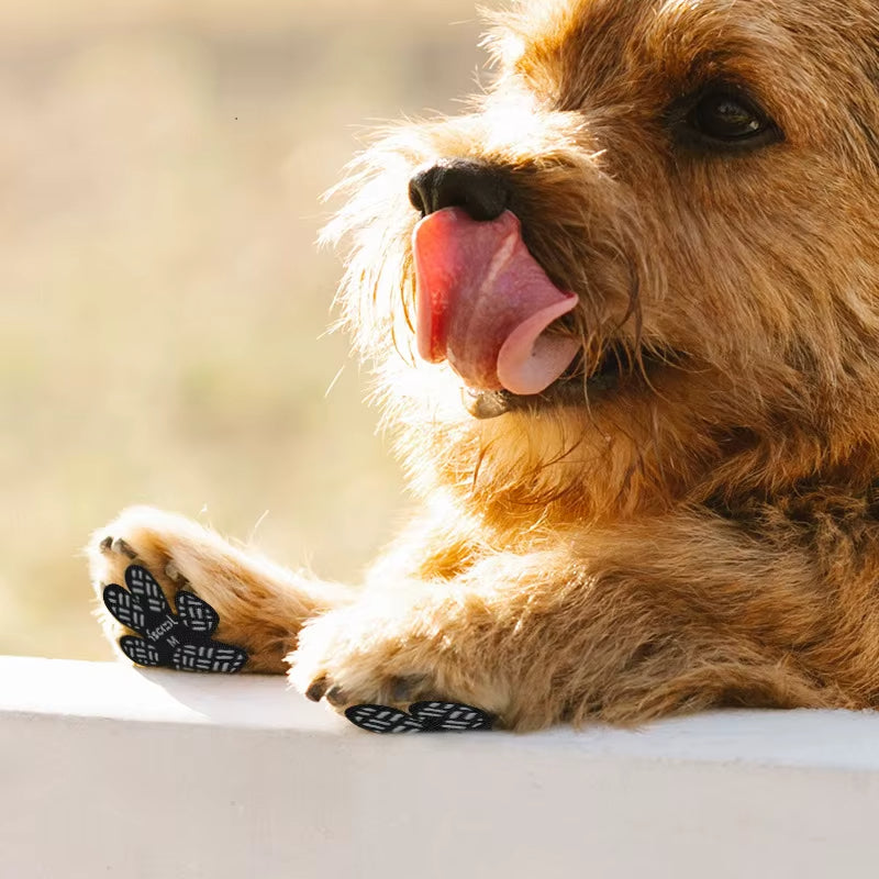 Paw Grips