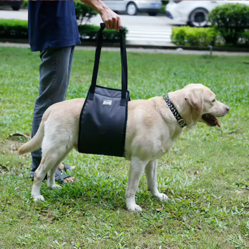 Rear Support Sling